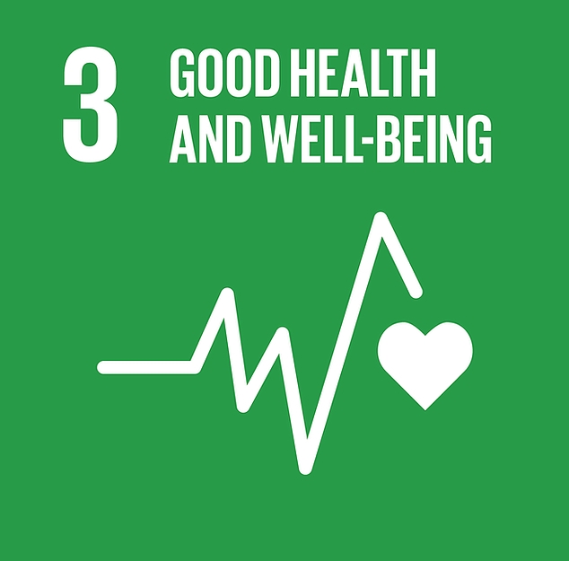 UN SDG Goal 3: Good Health and Well-being